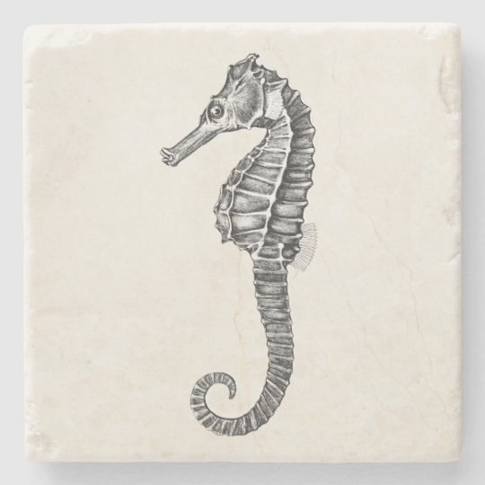 vintage 1800s sea horse ocean seahorse template stone coaster sea horse template