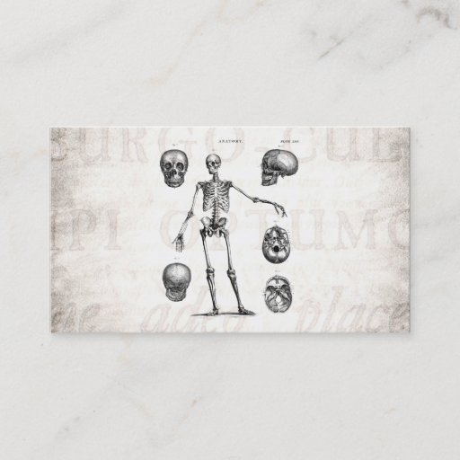 Customizable Vintage 1800s Skeleton Antique Anatomy Skeletons Business Cards