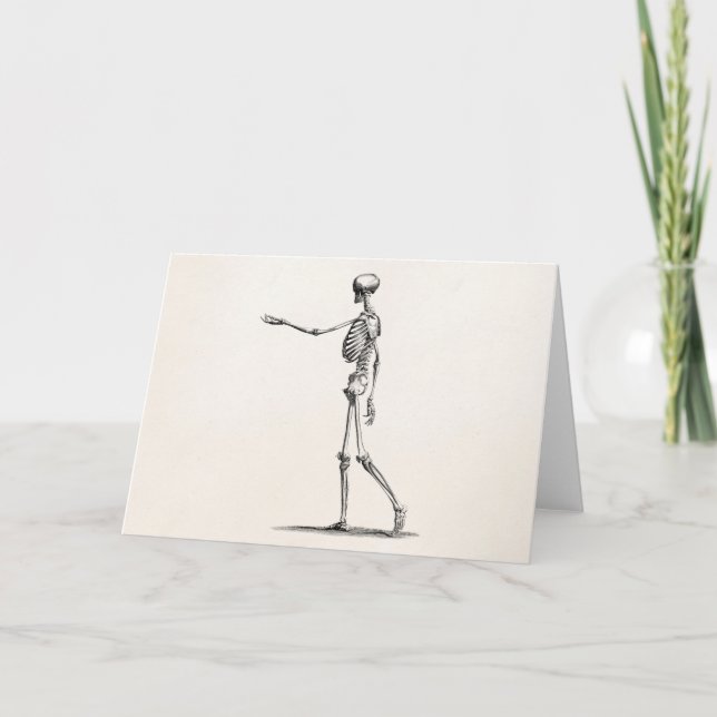 Vintage 1800s Skeleton Antique Anatomy Skeletons Card (Front)