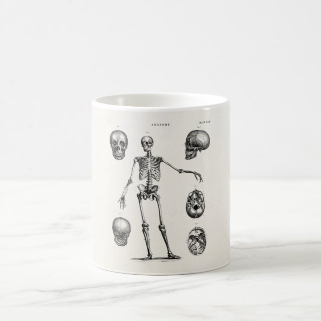 Vintage 1800s Skeleton Antique Anatomy Skeletons Coffee Mug (Center)