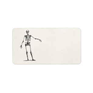 Vintage 1800s Skeleton Retro Anatomy Skeletons Label