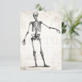 Vintage 1800s Skeleton Retro Skeletons Anatomy (Standing Front)