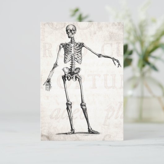 Vintage 1800s Skeleton Retro Skeletons Anatomy (Standing Front)