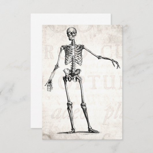 Vintage 1800s Skeleton Retro Skeletons Anatomy (Front/Back)
