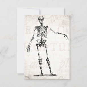 Vintage 1800s Skeleton Retro Skeletons Anatomy