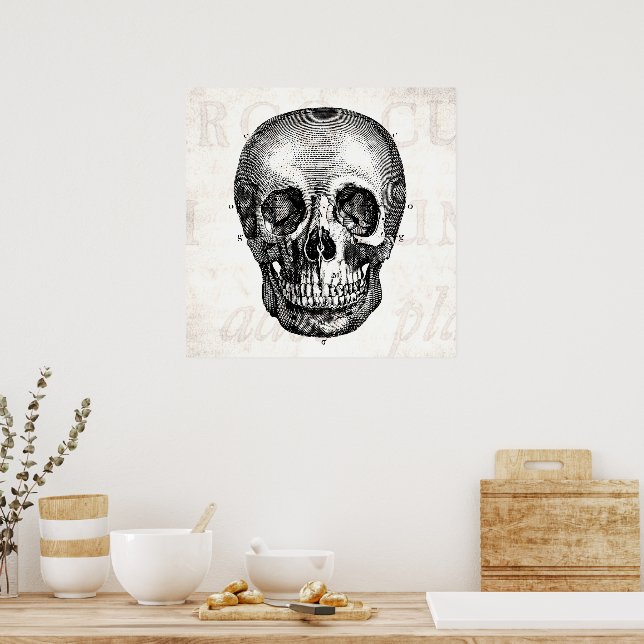 ビンテージ40s ビンテージ転写紙 アイロンプリント スカル&ボーン 髑髏 Vintage 1800s Skull Retro Anatomical Old Drawing Poster | Zazzle