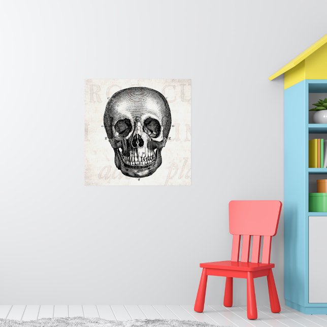 Vintage 1800s Skull Retro Anatomical Old Drawing Poster | Zazzle