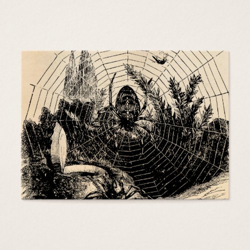 Vintage 1800s Spider Web Illustration - Spiders Business Card Template
