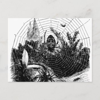 Vintage 1800s Spider Web Illustration - Spiders Postcard by SilverSpiral at Zazzle