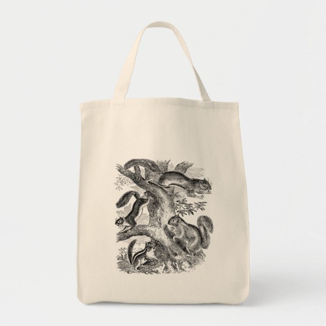 Vintage 1800s Squirrel Illustration - Squirrels Tote Bag (Front)