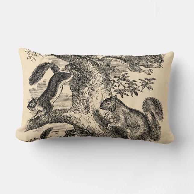 Vintage 1800s Squirrels Illustration - Squirrel Lumbar Pillow (Front)
