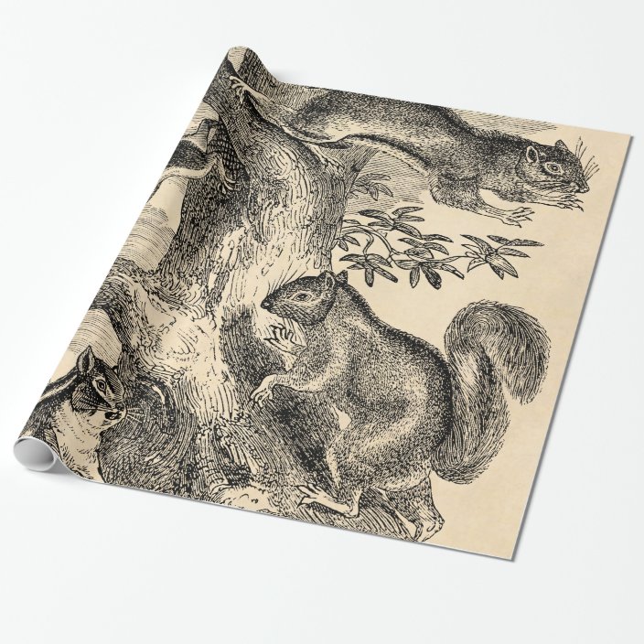 squirrel wrapping paper