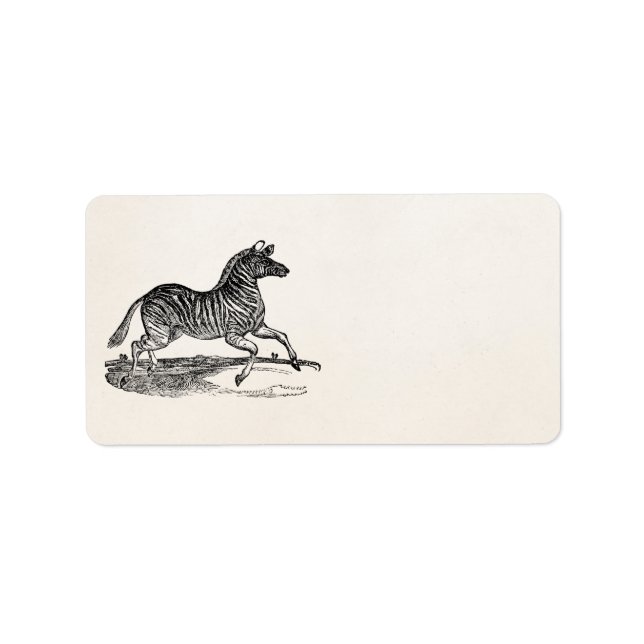 Vintage 1800s Striped Zebra Illustration Zebras Label (Front)