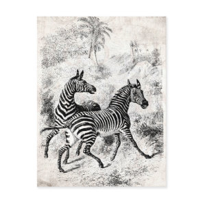 Vintage 1800s Zebras Retro Old Zebras Illustration Postcard