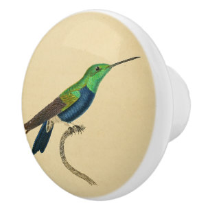 Vintage 1830 Hummingbird Drawer Knob