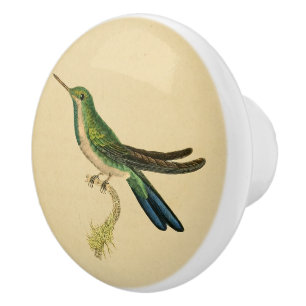 Vintage 1830 Hummingbird Drawer Knob