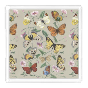 Vintage 1842 Butterfly Moth Botanical Floral Art Acrylic Tray