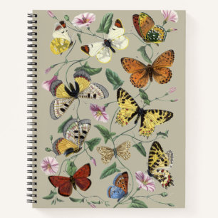 Vintage 1842 Butterfly Moth Botanical Floral Art Notebook