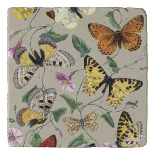 Vintage 1842 Butterfly Moth Botanical Floral Art Trivet