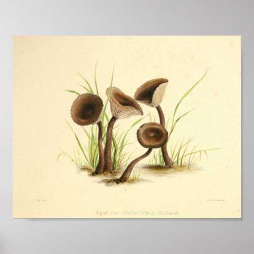 Vintage 1855 Mushrooms Brown Cap Art Print