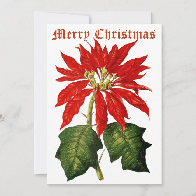 Vintage 1867 Poinsettia Christmas Holiday Card (Front)