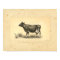 Vintage 1888 Cow Print