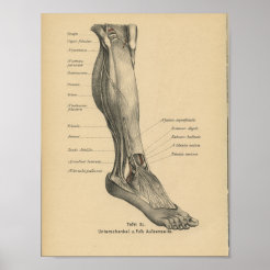 Foot Posters & Prints | Zazzle