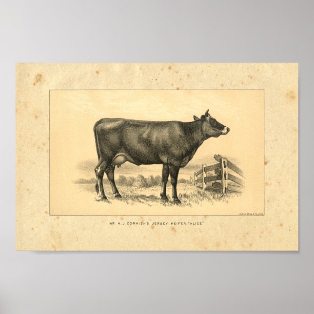 Vintage 1888 Jersey Cow Print (Front)