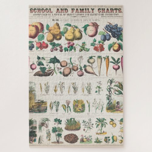 Vintage 1890 School Botanical Education Chart Jigsaw Puzzle