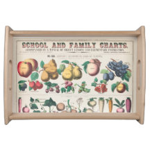 Vintage 1890 School Botanical Education Chart