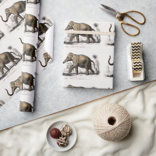 Vintage 1892 Asiatic Elephant Illustration Wrapping Paper