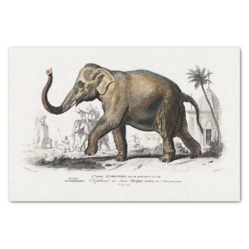 Vintage 1892 Asiatic Elephant Print Decoupage Tissue Paper