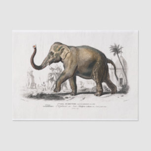 Vintage 1892 Asiatic Elephant Print Decoupage Tissue Paper