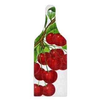 Vintage 1899 illustration: ripe red cherries cutting board