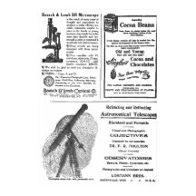 Vintage 1900's Full Page Newspaper Ad