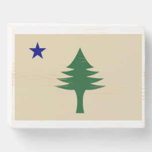Vintage 1901 Maine Flag Home Decor Sign