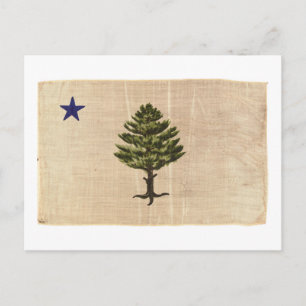 Vintage 1901 Maine Flag Postcard