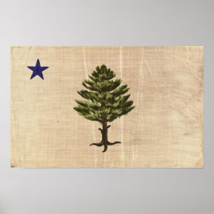 Vintage 1901 Maine Flag Print (Cropped)