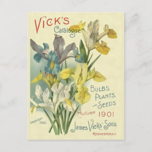 Vintage 1901 Vick's Seed & Plant Catalog Postcard