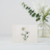 Vintage 1902 Daisies Old Wild Flower Illustration Business Card (Standing Front)