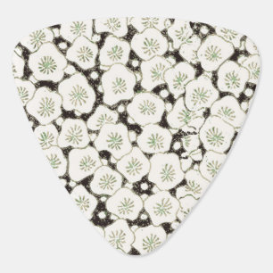 Vintage 1902 Japanese Floral: Black White Blossom Guitar Pick