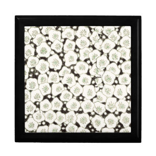 Vintage 1902 Japanese Floral: Black White Blossom Keepsake Box