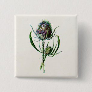 Vintage 1902 Old Scottish Thistle Wild Flower Button