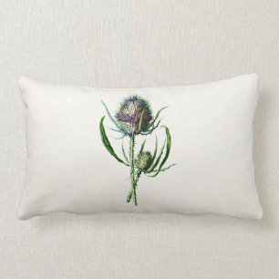 Vintage 1902 Old Scottish Thistle Wild Flower Lumbar Pillow