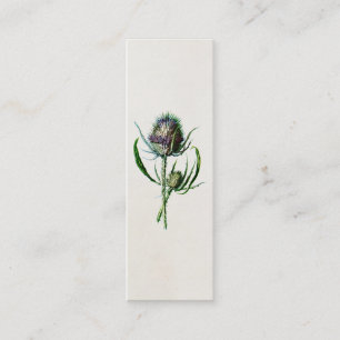 Vintage 1902 Old Scottish Thistle Wild Flower Mini Business Card