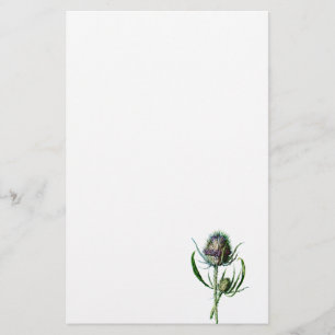 Vintage 1902 Scottish Thistle Antique Wild Flower Stationery