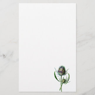 Vintage 1902 Scottish Thistle Antique Wild Flower Stationery