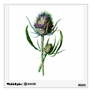Vintage 1902 Scottish Thistle Antique Wild Flower Wall Decal