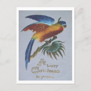 Vintage 1905 Christmas Greetings With Parrot Postcard by SayWhatYouLike at Zazzle