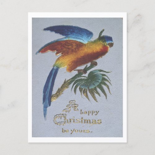 Vintage 1905 Christmas Greetings with Parrot Postcard
